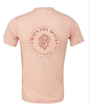 Reef Triblend Softstyle Tee / Sunset Triblend / Salt and Sand