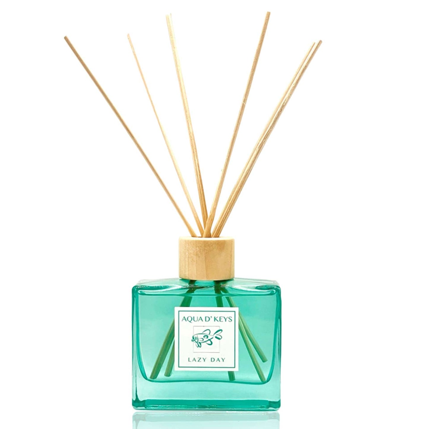 Lazy Day Diffuser AQUA D' KEYS