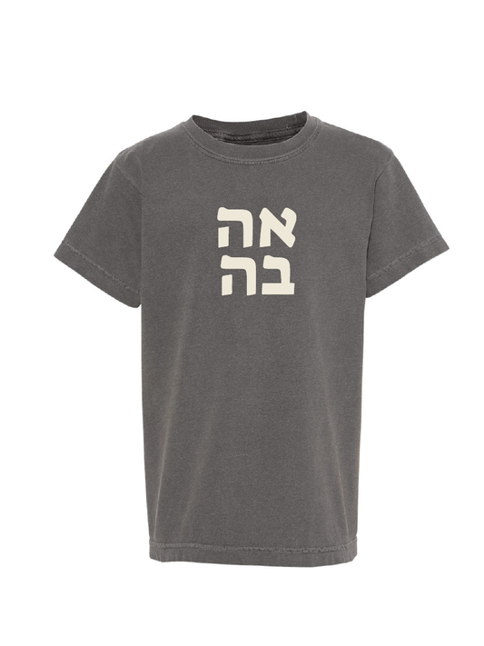 AHAVA (Love in Hebrew)-Youth Garment-Dyed Heavyweight T-Shirt / 4 colors / Hanukkah