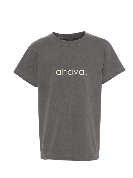 AHAVA / Youth Garment-Dyed Heavyweight T-Shirt / 4 colors / Hanukkah