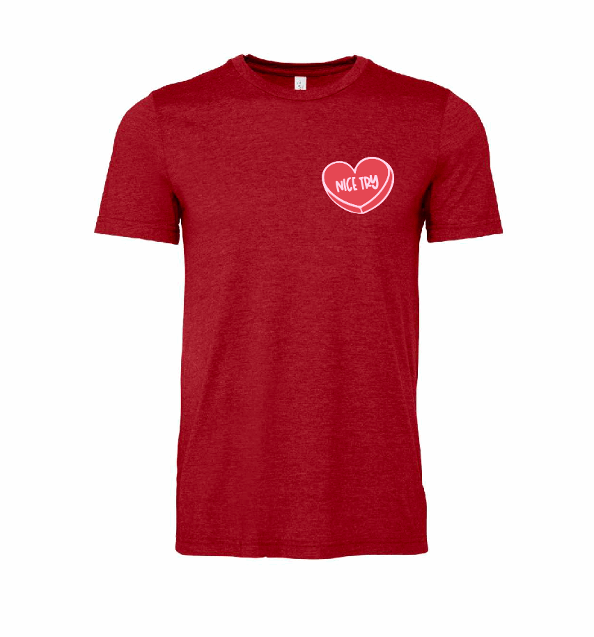 Nice Try / Unisex Softstyle Short Sleeve Tee (Youth & Adult) / 5 Colors / Valentine's Day